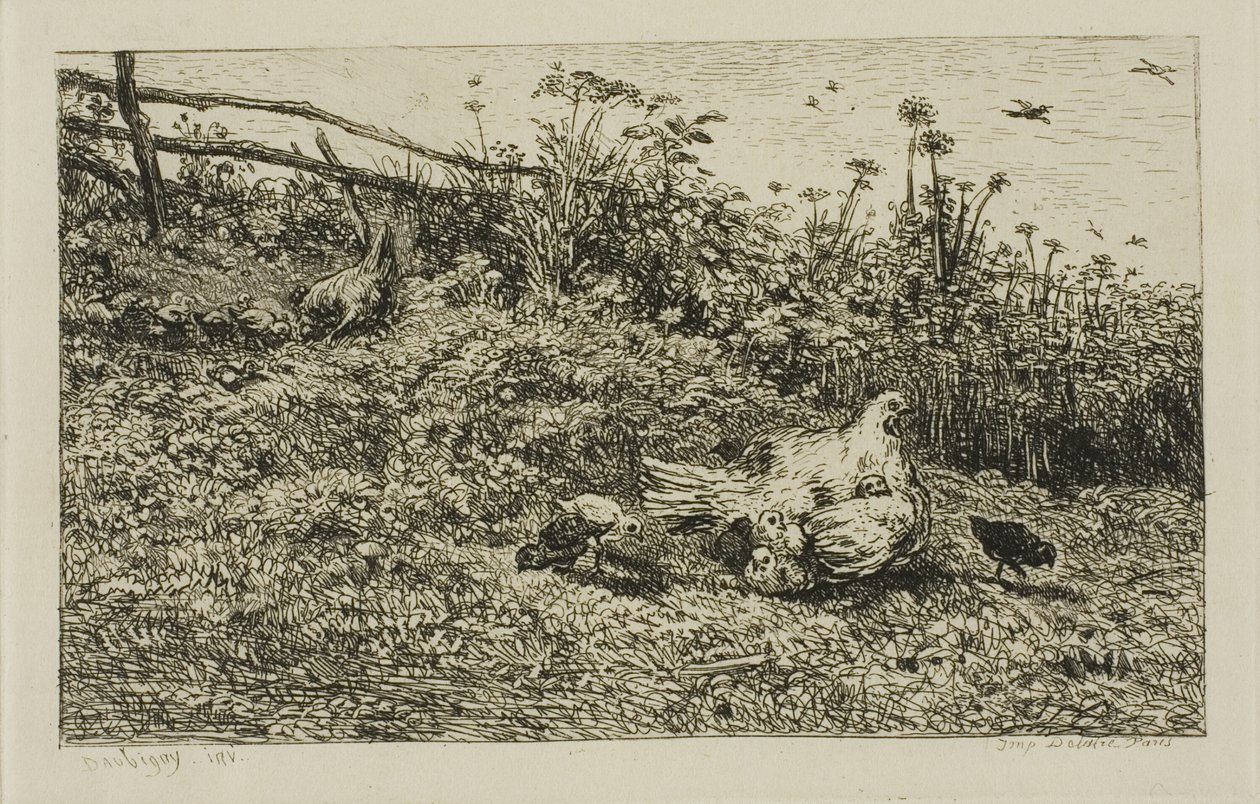 La Poule et ses poussins - Charles Francois Daubigny