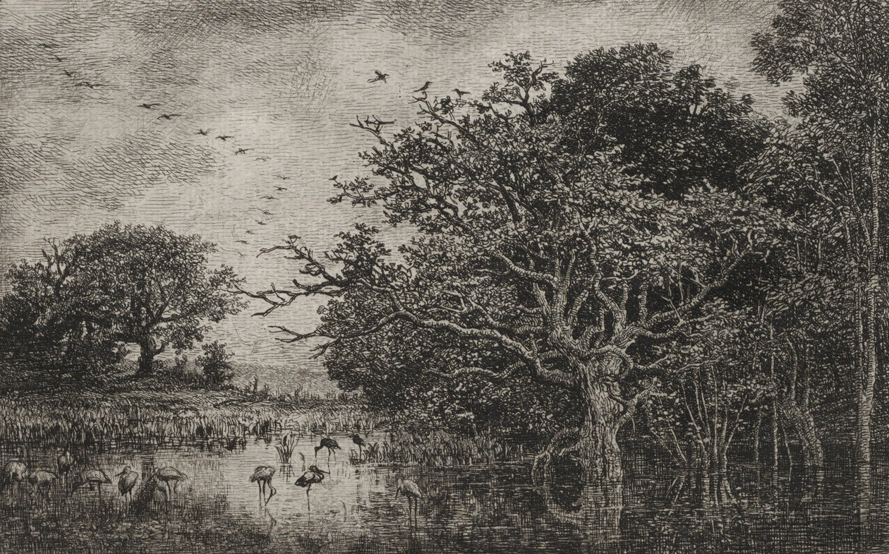 Le Marais avec des cigognes, vers 1851 - Charles Francois Daubigny