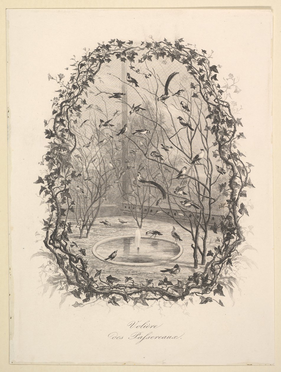 La volière des moineaux, 1843 - Charles Francois Daubigny