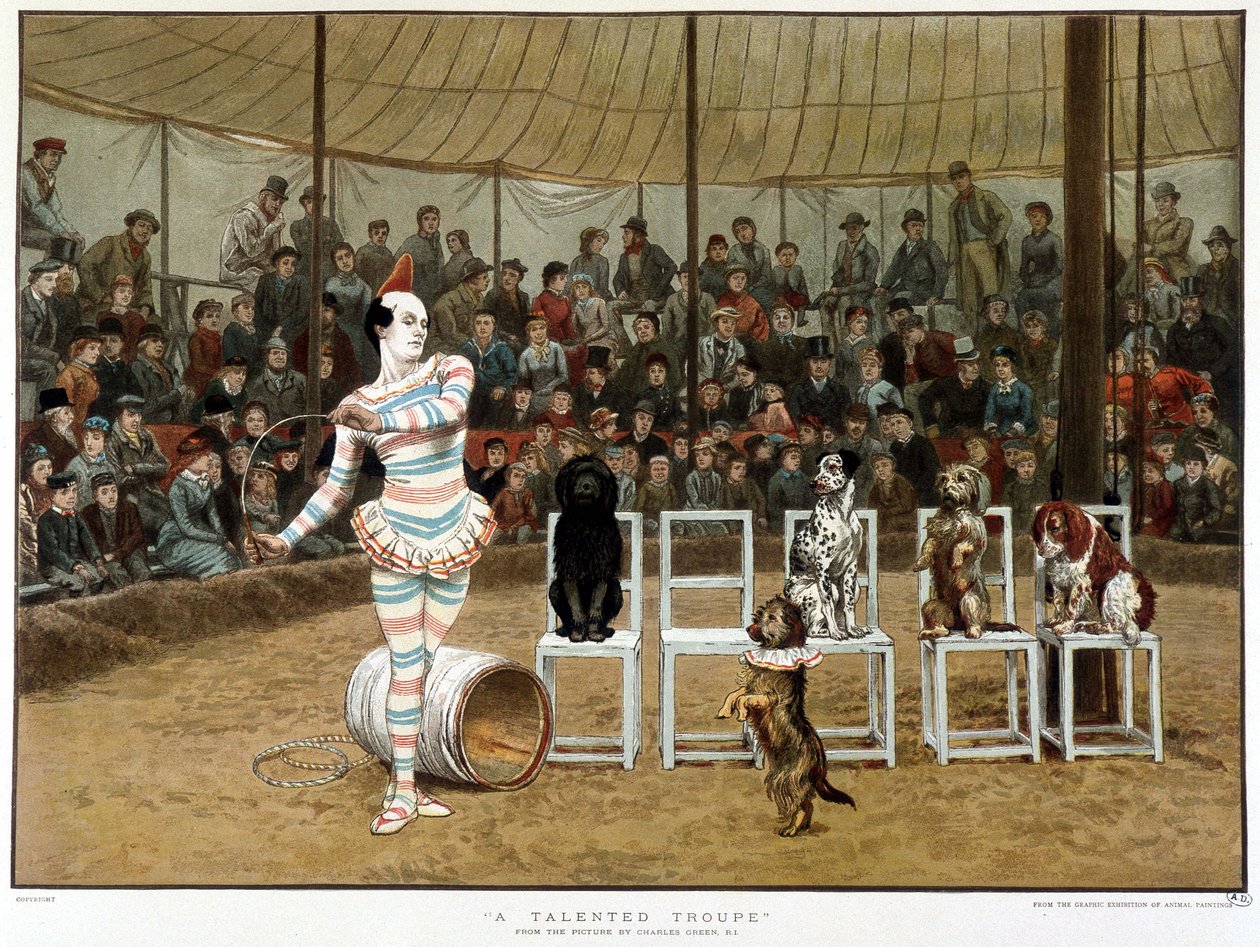 Les chiens savants : scène de cirque avec clown et chiens - d