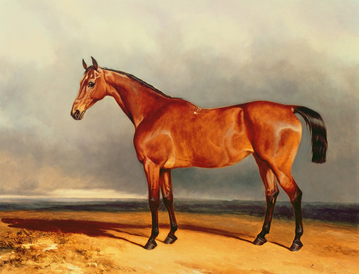 Le Chasseur de la Baie - Charles Hancock
