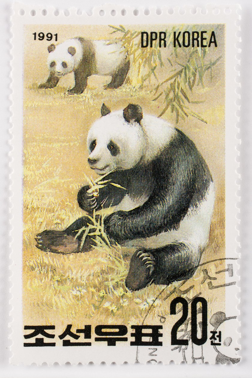 Timbre, Corée du Nord, Ailuropoda melanoleuca, Grand panda - Augustus Kollner