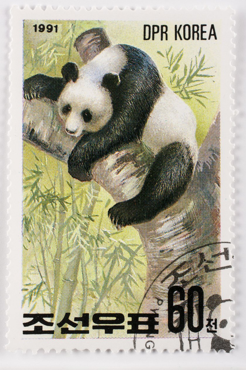 Timbre, Corée du Nord, Ailuropoda melanoleuca, Grand panda - Augustus Kollner
