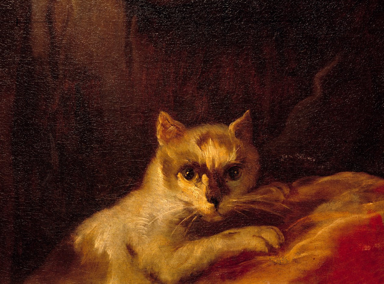 Mademoiselle de Charolais (détail représentant le chat) - Charles Joseph Natoire