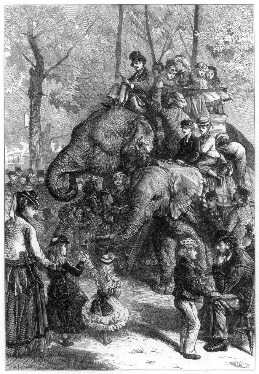 Lundi après-midi aux jardins de la société zoologique, 1871 - Charles Joseph Staniland