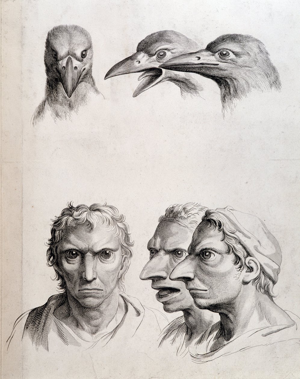 Profils d