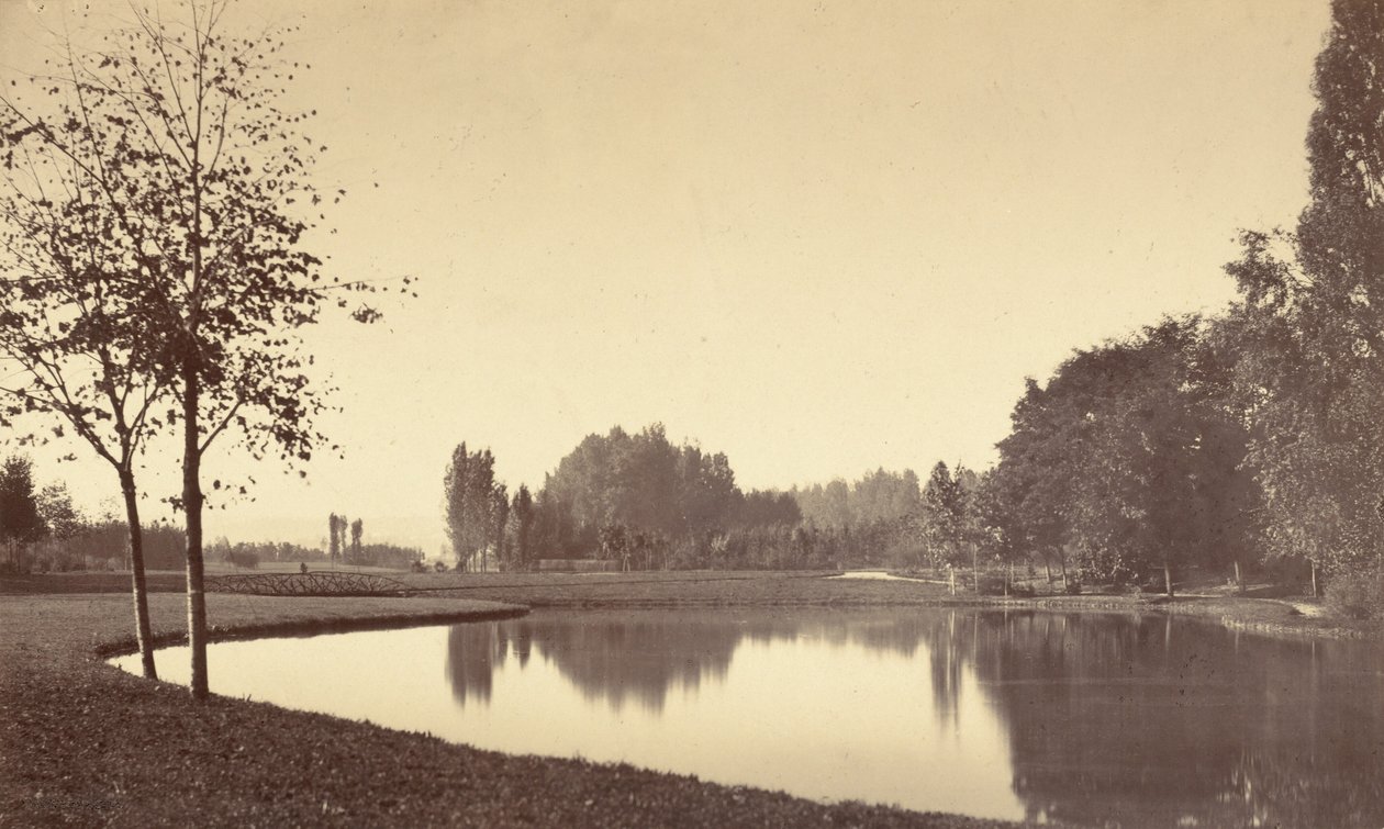 Bois de Boulogne,1858 (photo) - Charles Marville