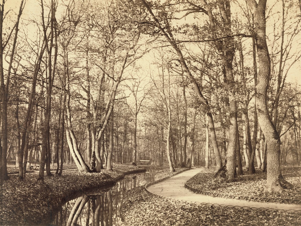 Bois de Boulogne, Paris - Charles Marville