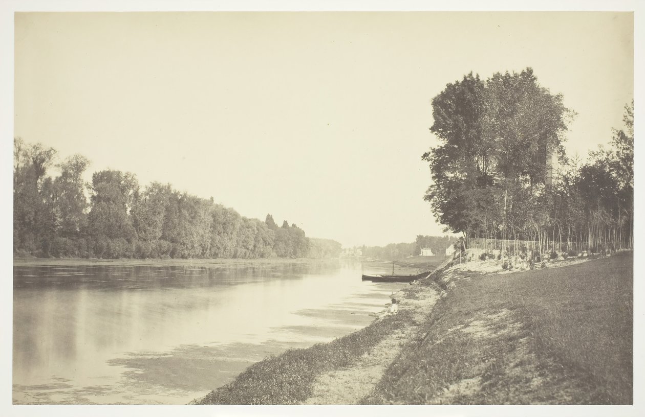 Sans titre, vers 1850 [Arbres près de l