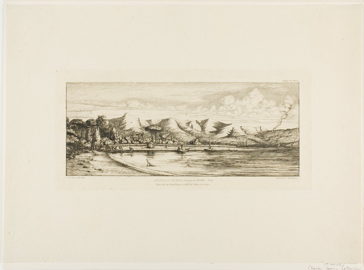 Pêche à la senne au large de Collier
