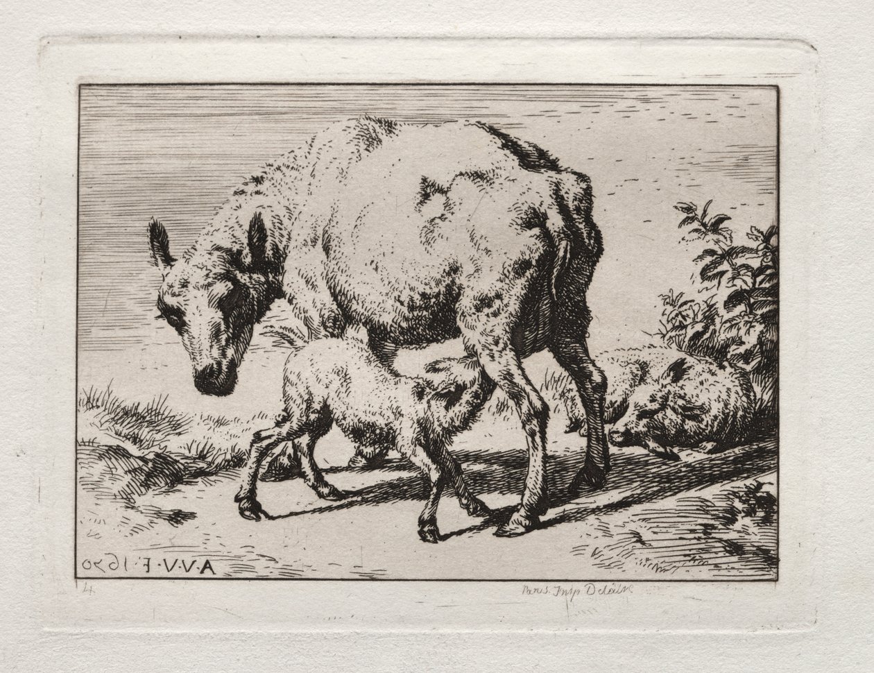 La brebis avec deux agneaux - Charles Meryon