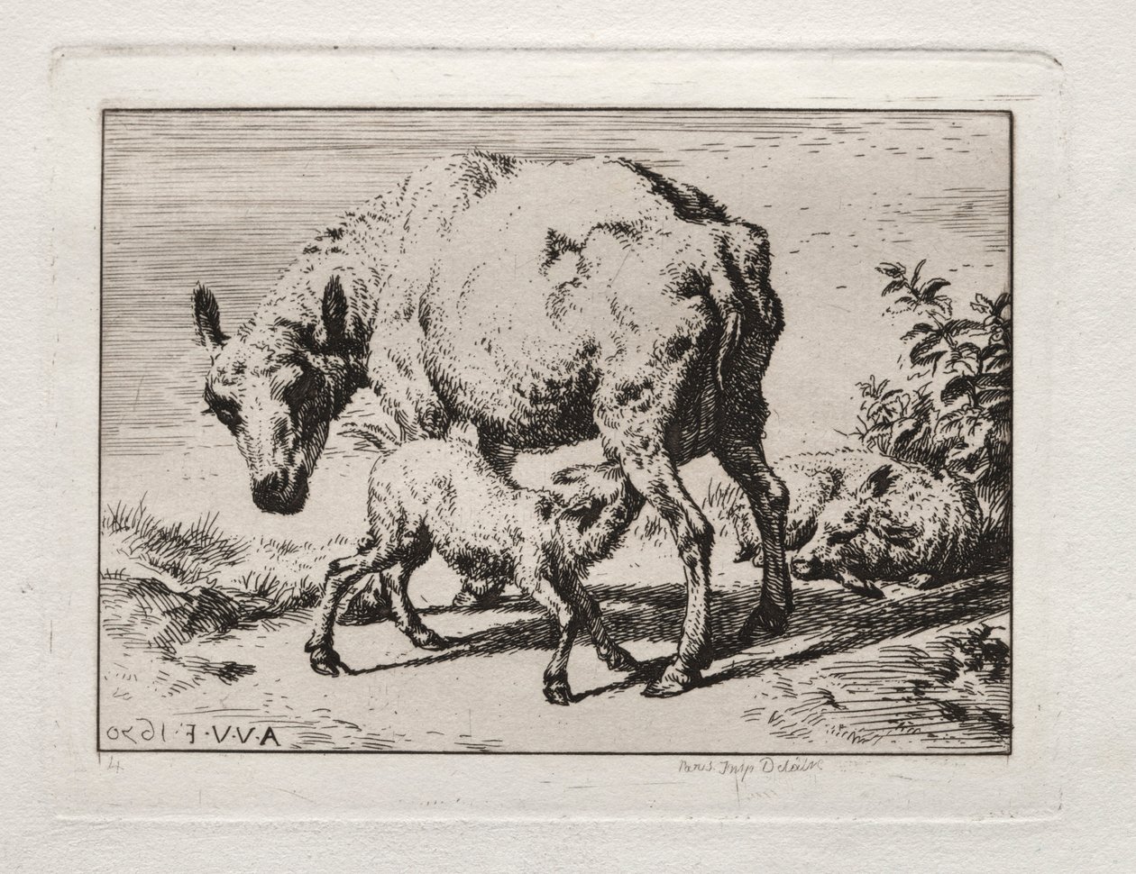La brebis avec deux agneaux, 1850 - Charles Meryon