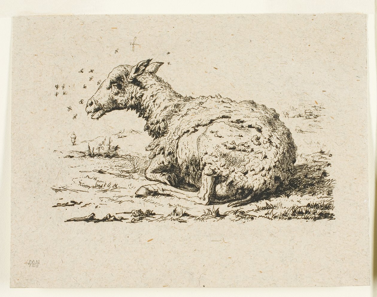 Le Mouton et les Mouches - Charles Meryon
