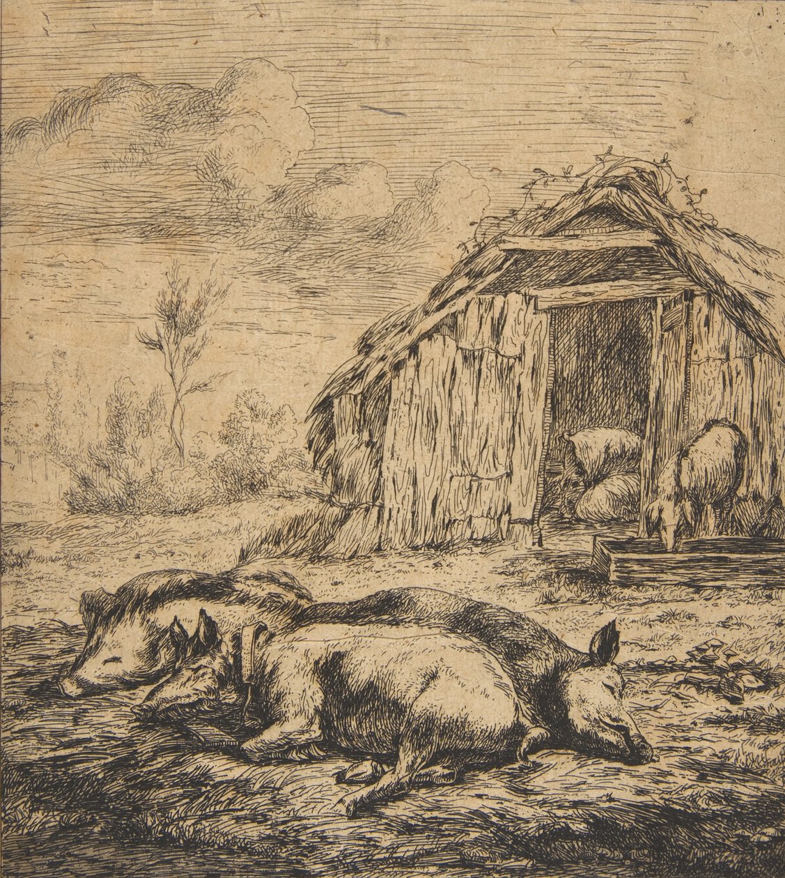 Trois cochons couchés devant une cabane, 1850 - Charles Meryon