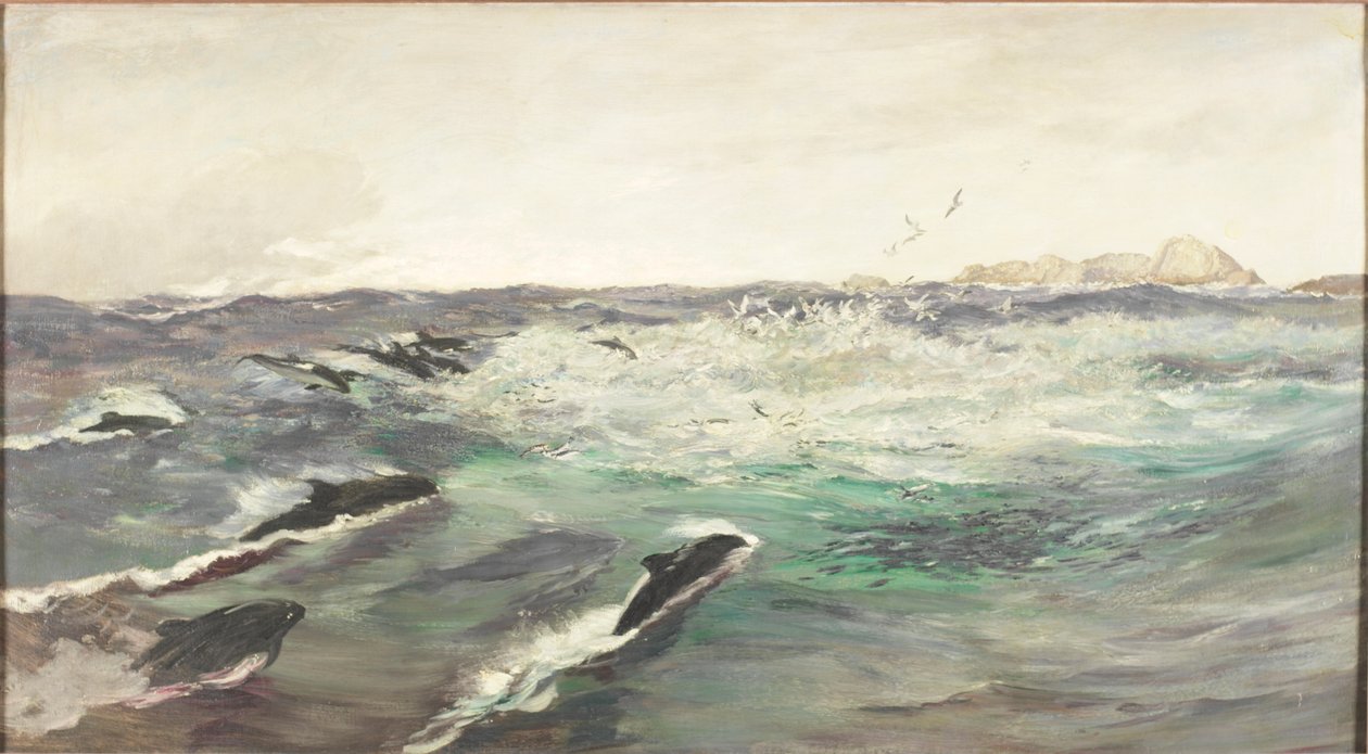 Marsouins chassant le maquereau - Charles Napier Hemy
