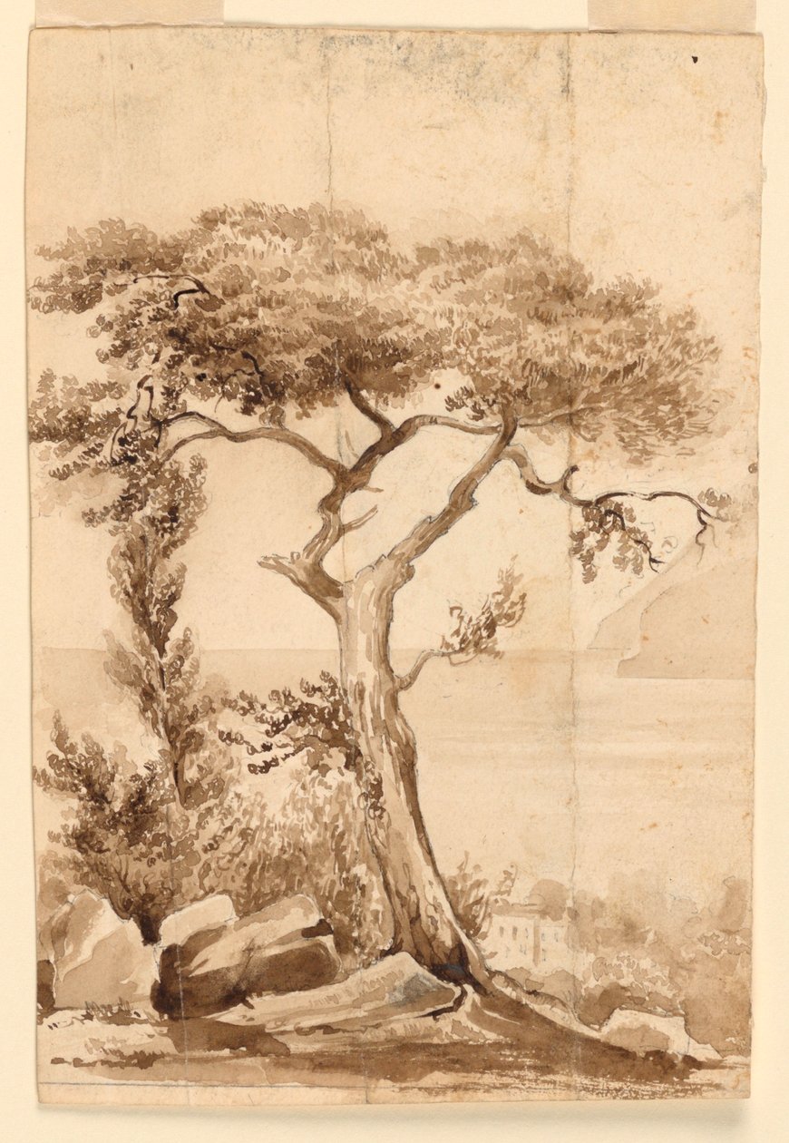 À la côte de la mer Méditerranée - Charles Nicolas Ransonnette