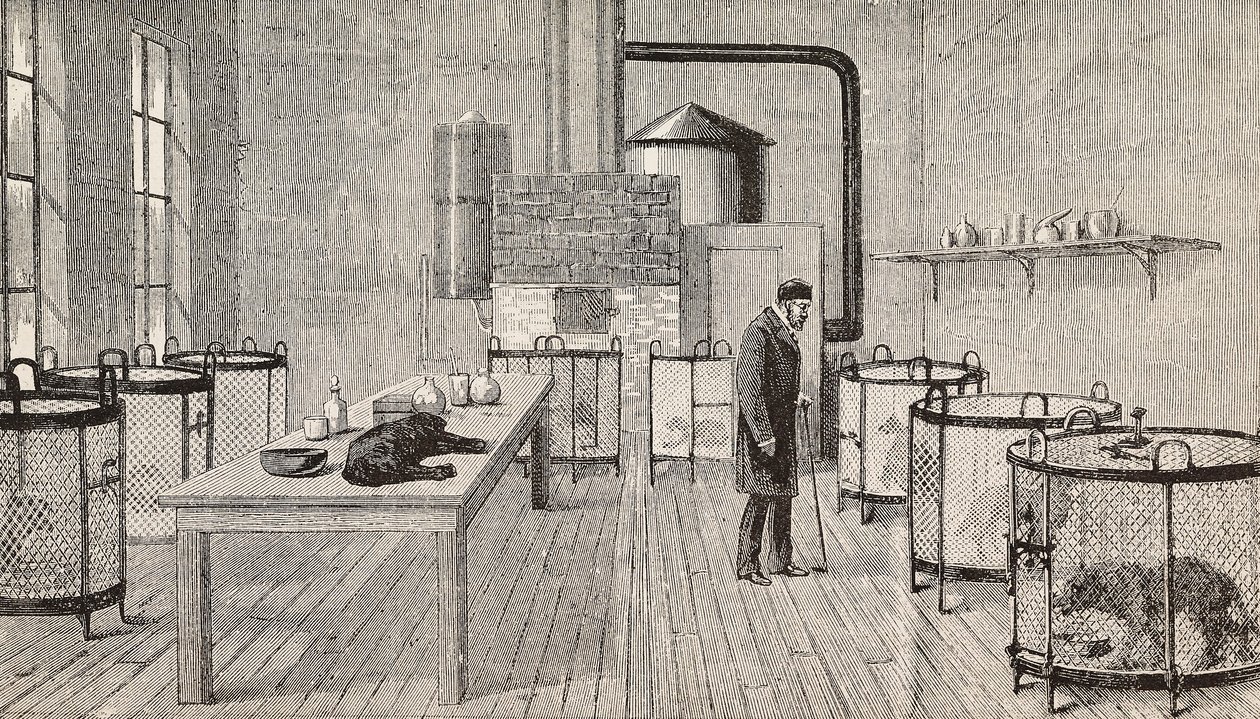 Chiens en cages dans le laboratoire de Louis Pasteur (1822-1895), chimiste et biologiste français, Paris, France, gravure de L