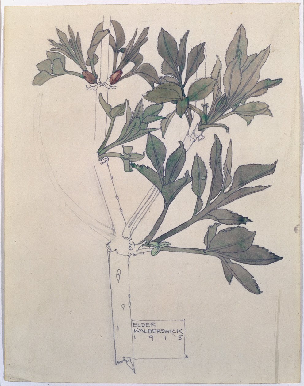 Sureau, Walberswick, 1915 - Charles Rennie Mackintosh