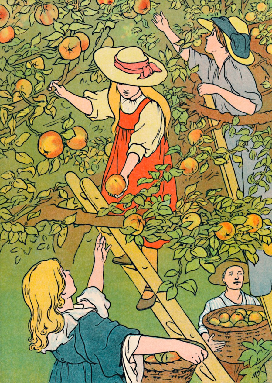 Cueillir les fruits, 1912 - Charles Robinson