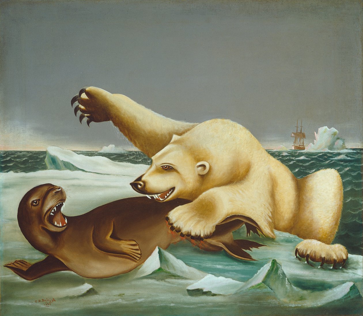 La loi de la jungle - Charles S. Raleigh