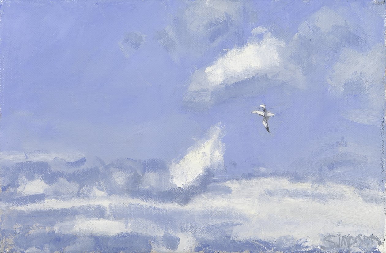 Fou de Bassan et nuages, 2016 (huile sur toile) - Charles Simpson