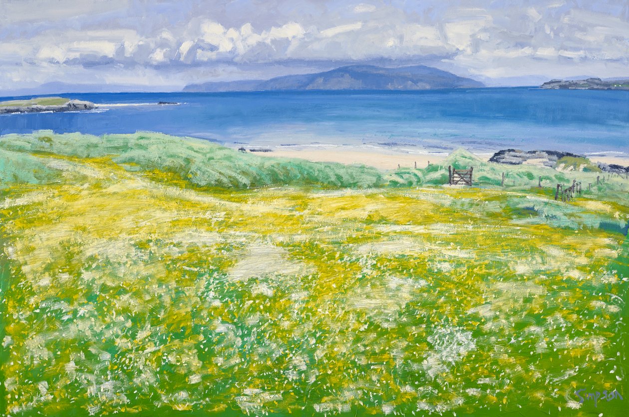 Machair, North End Iona, 2015 (huile sur toile) - Charles Simpson