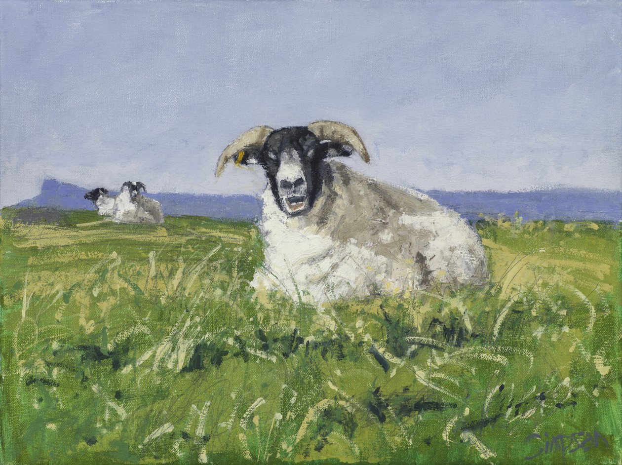 Mouton de la côte ouest, 2017 (huile sur toile) - Charles Simpson