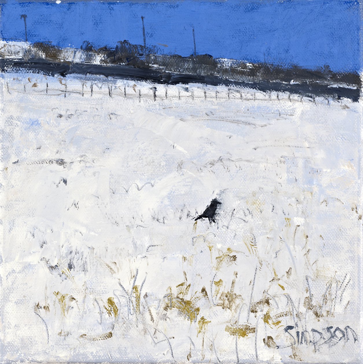 Corneille d