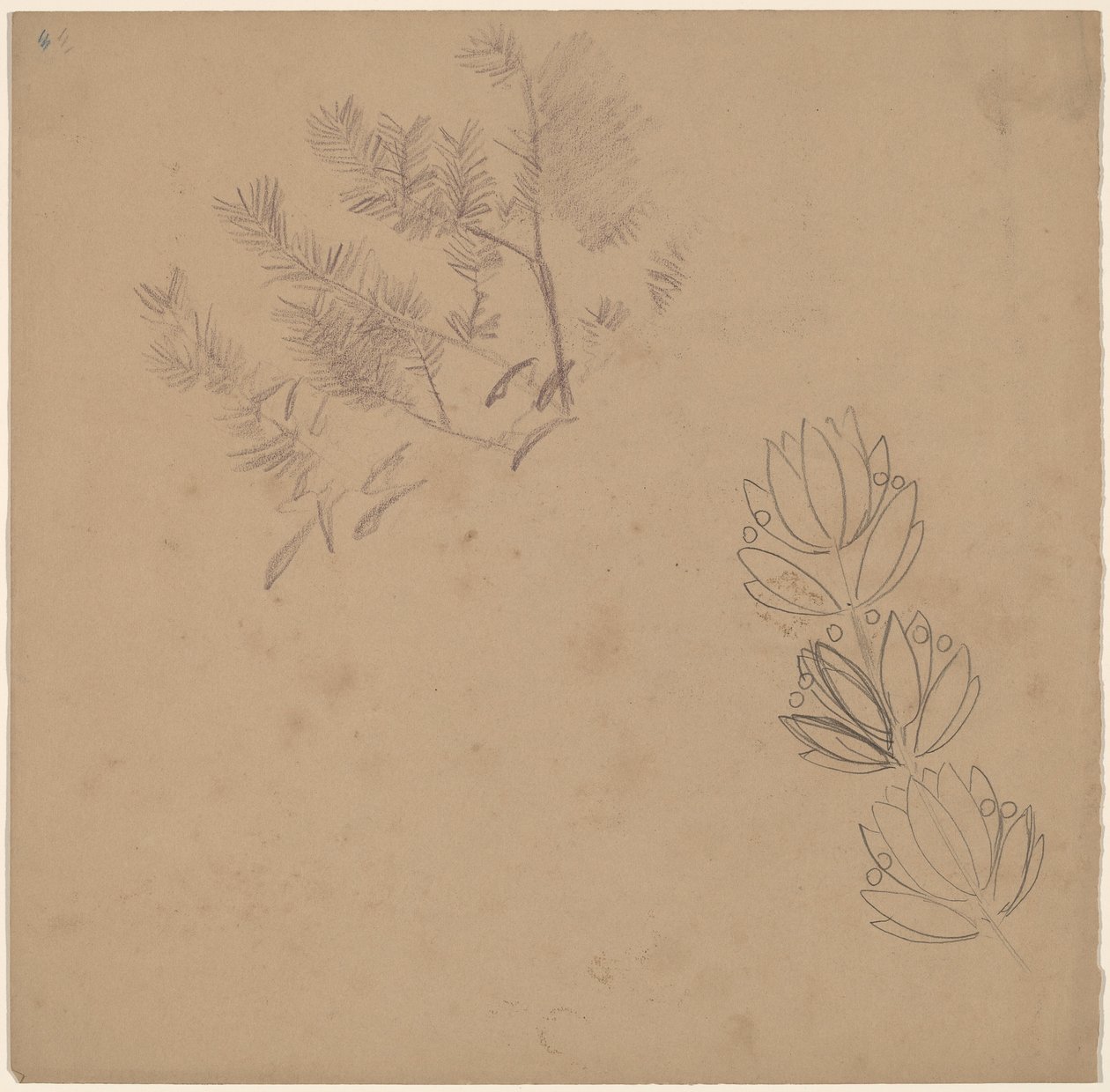 Étude pour une bordure avec un croquis d