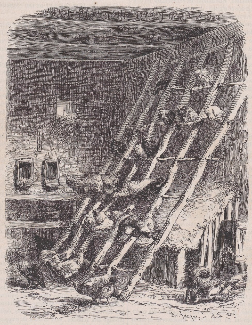 Visite à une ferme - Le Poulailler, du Magasin Pittoresque, ca. 1852 - Charles Tamisier