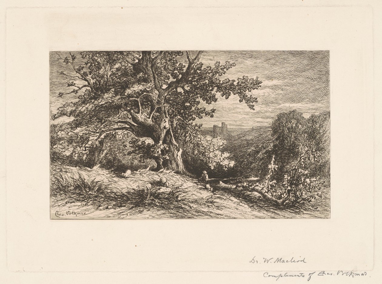 Paysage avec arbre tombé - Charles Volkmar