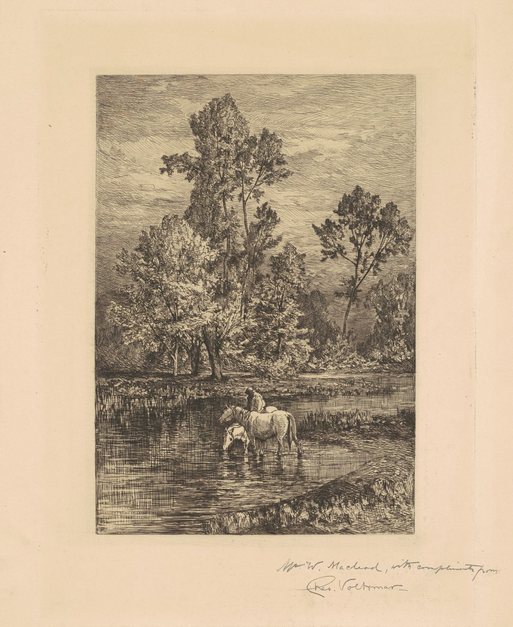 Paysage avec chevaux buvant - Charles Volkmar