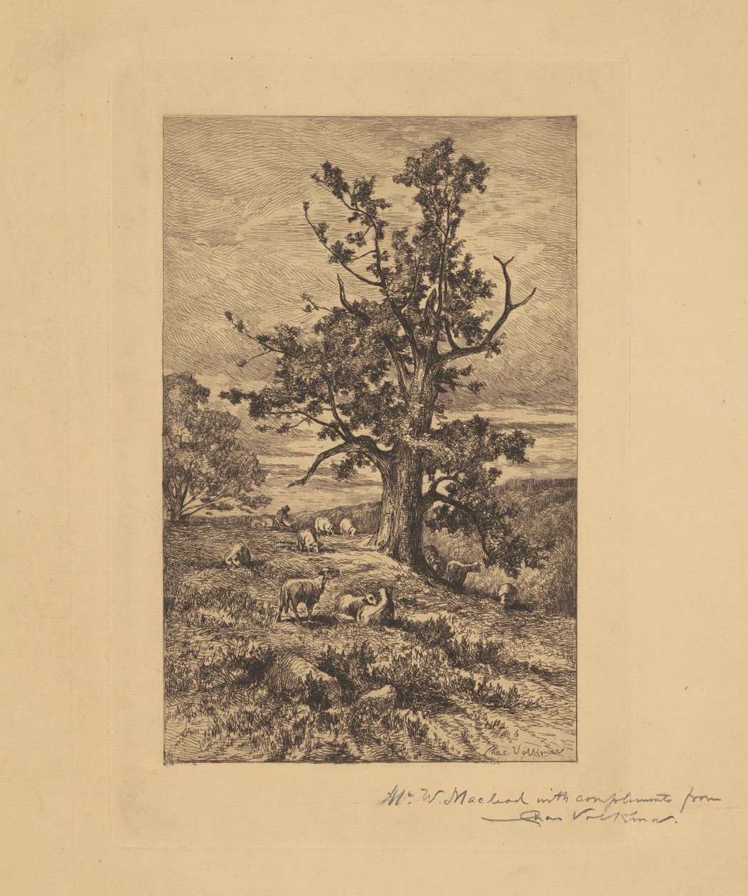 Paysage avec des moutons - Charles Volkmar