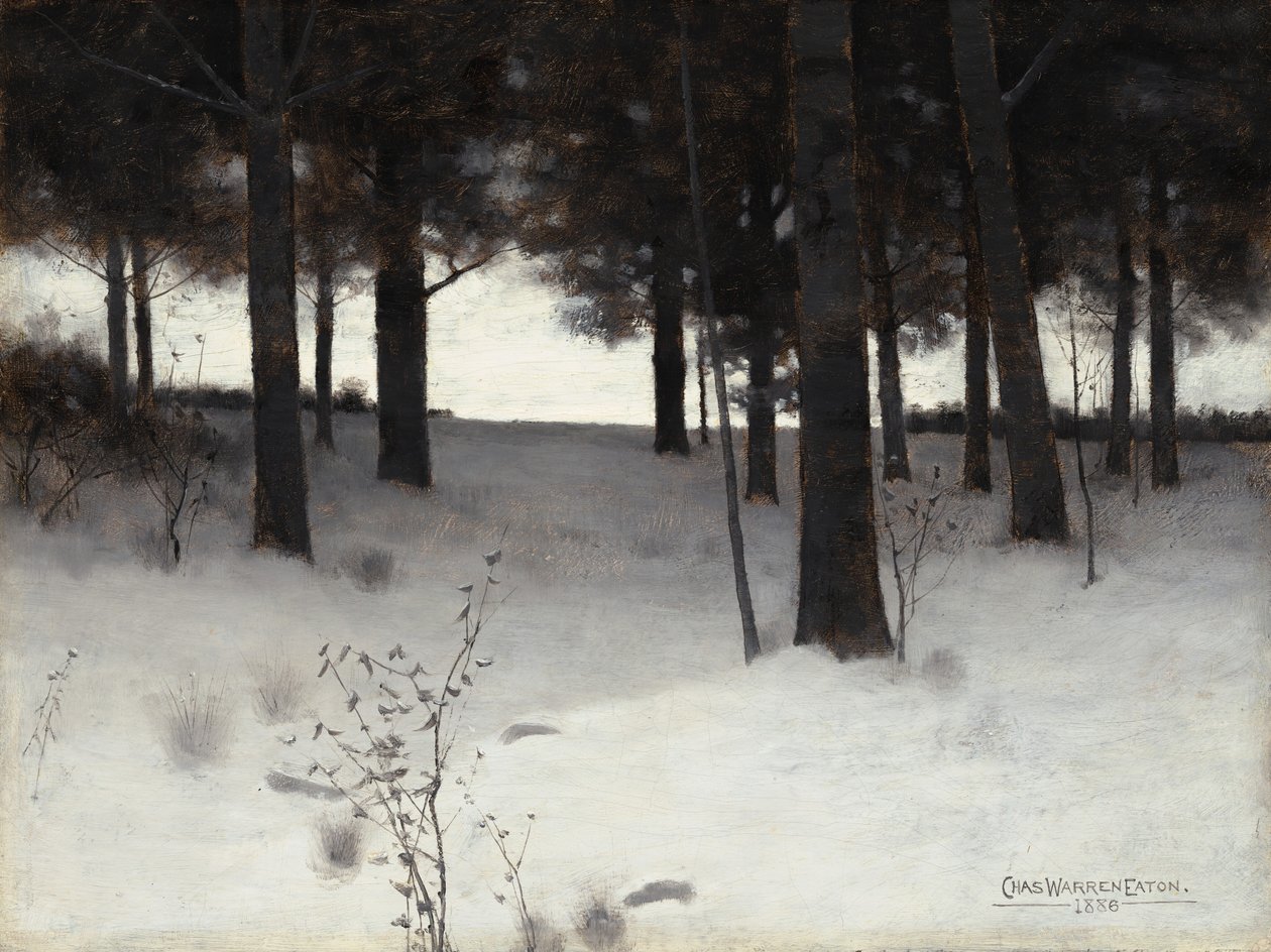 Bois en hiver - Charles Warren Eaton