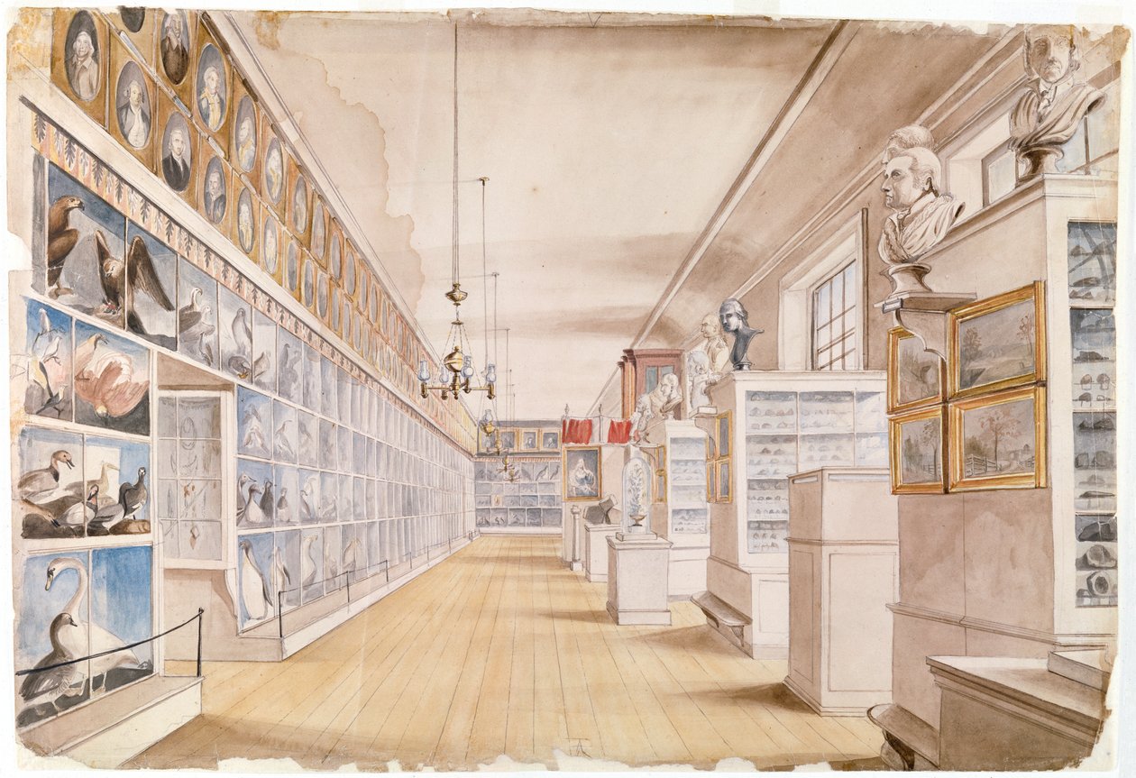 La Grande Salle, Intérieur de la Salle de Devant au Musée Peale, 1822 - Charles Willson Peale