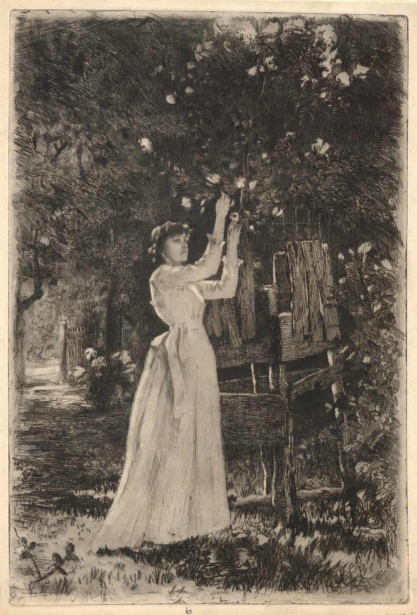 Une jeune femme cueillant des fleurs d