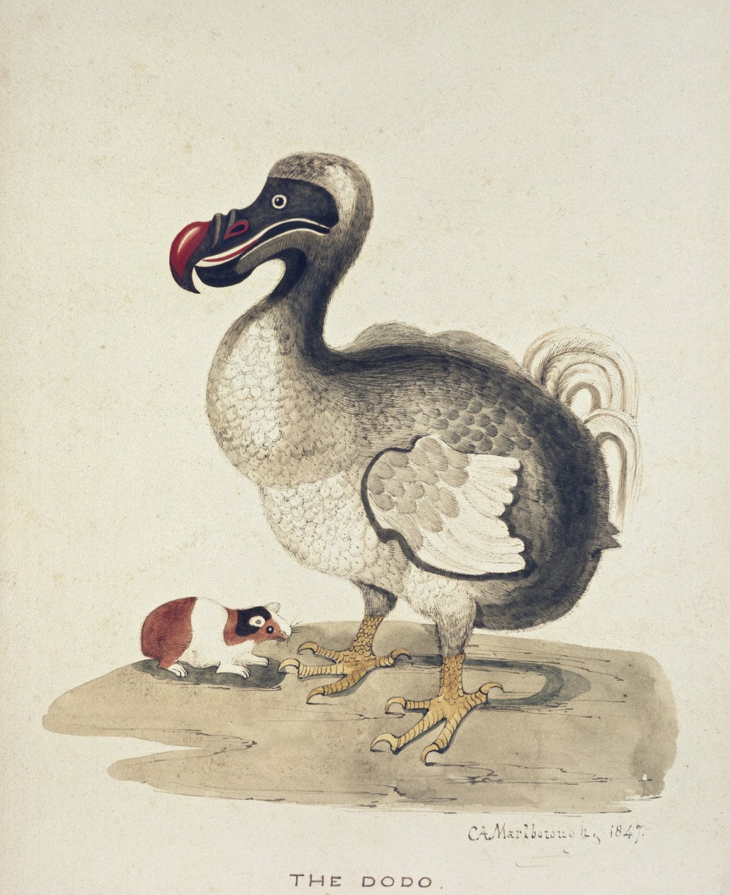 Étude d