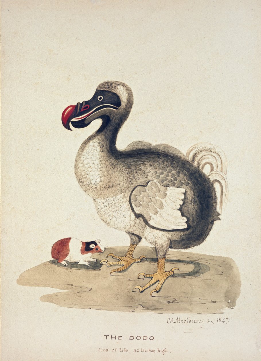 Étude d