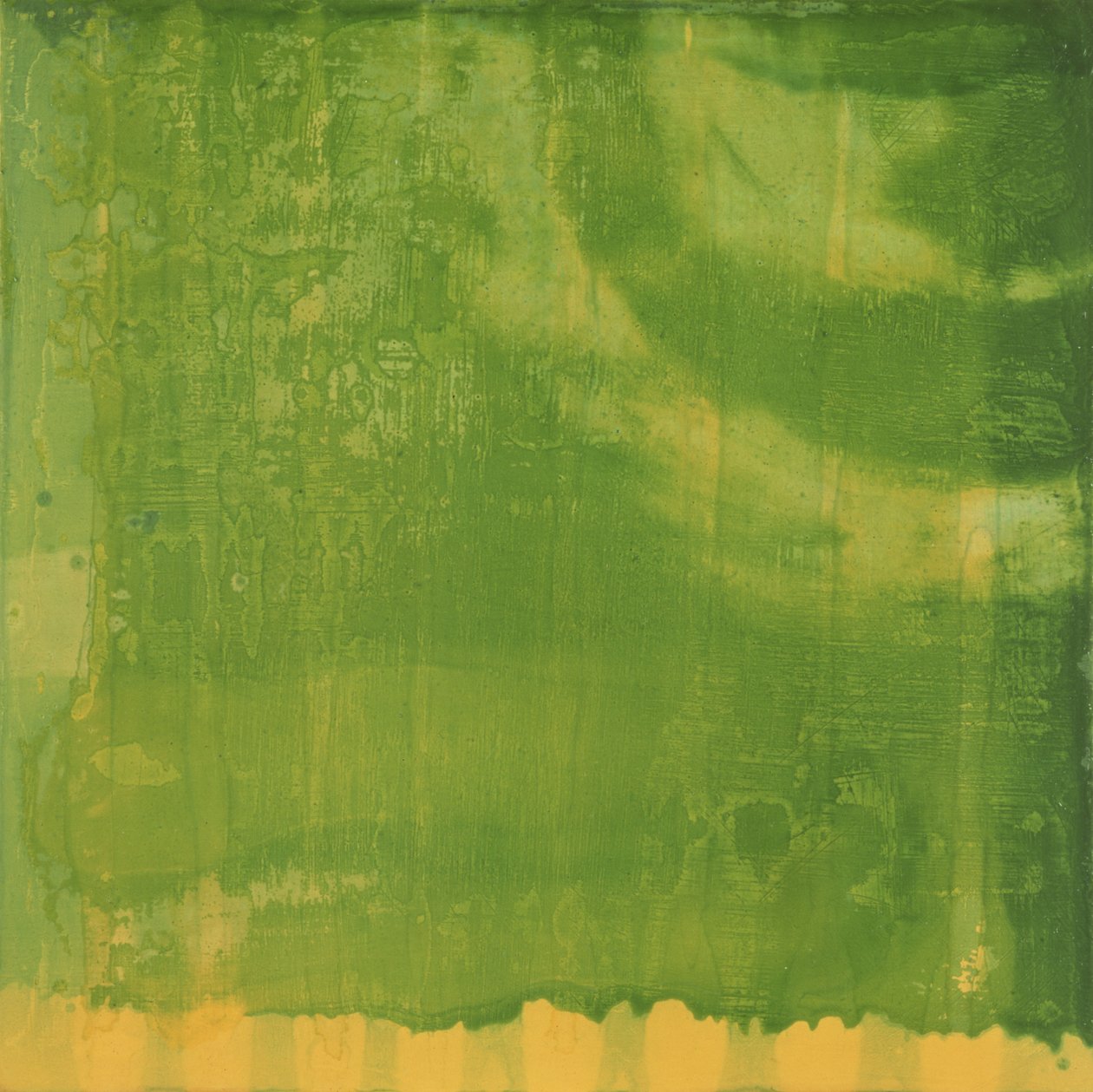 Bluerine Green, 1997 - Charlotte Johnstone