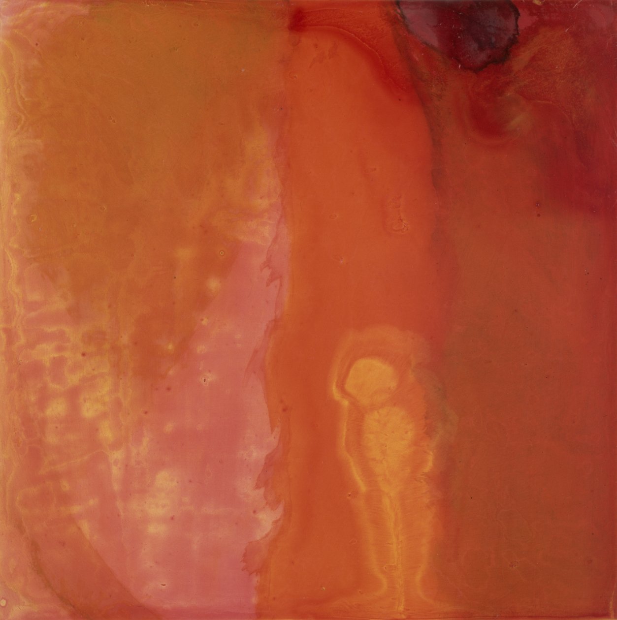 Poisson au fromage, 1997 - Charlotte Johnstone