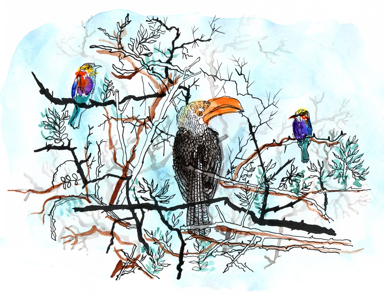 Oiseau dans l
