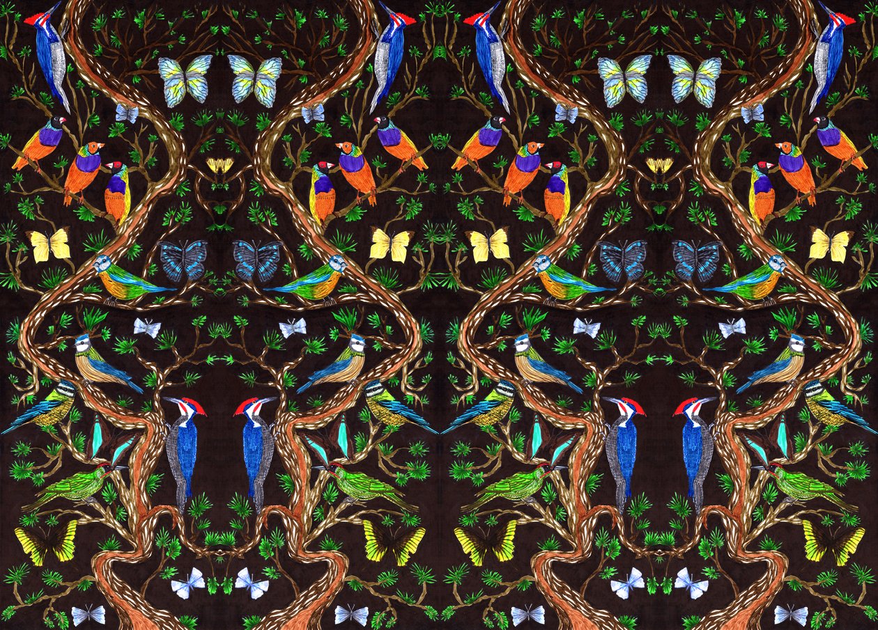 Oiseaux et papillons, 2019 - Charlotte Orr