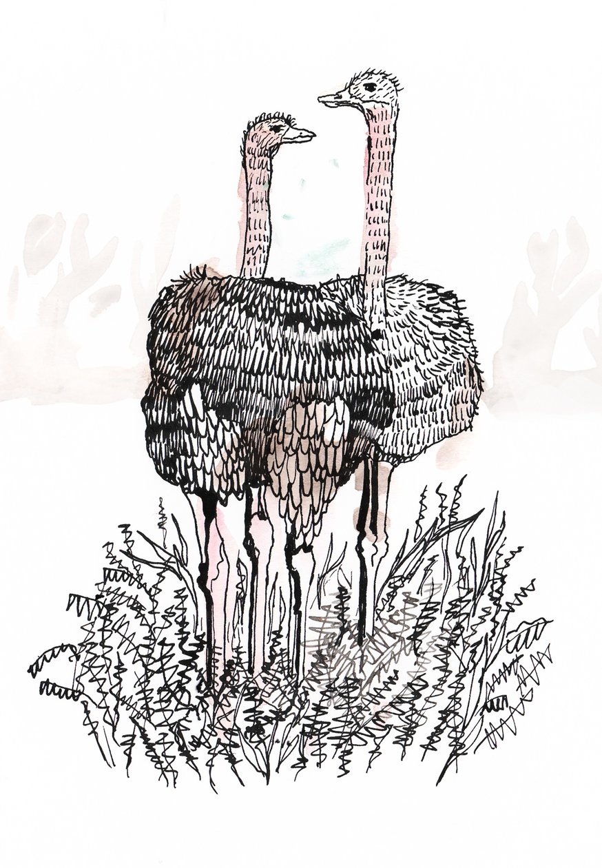 Flamants roses, 2018 - Charlotte Orr