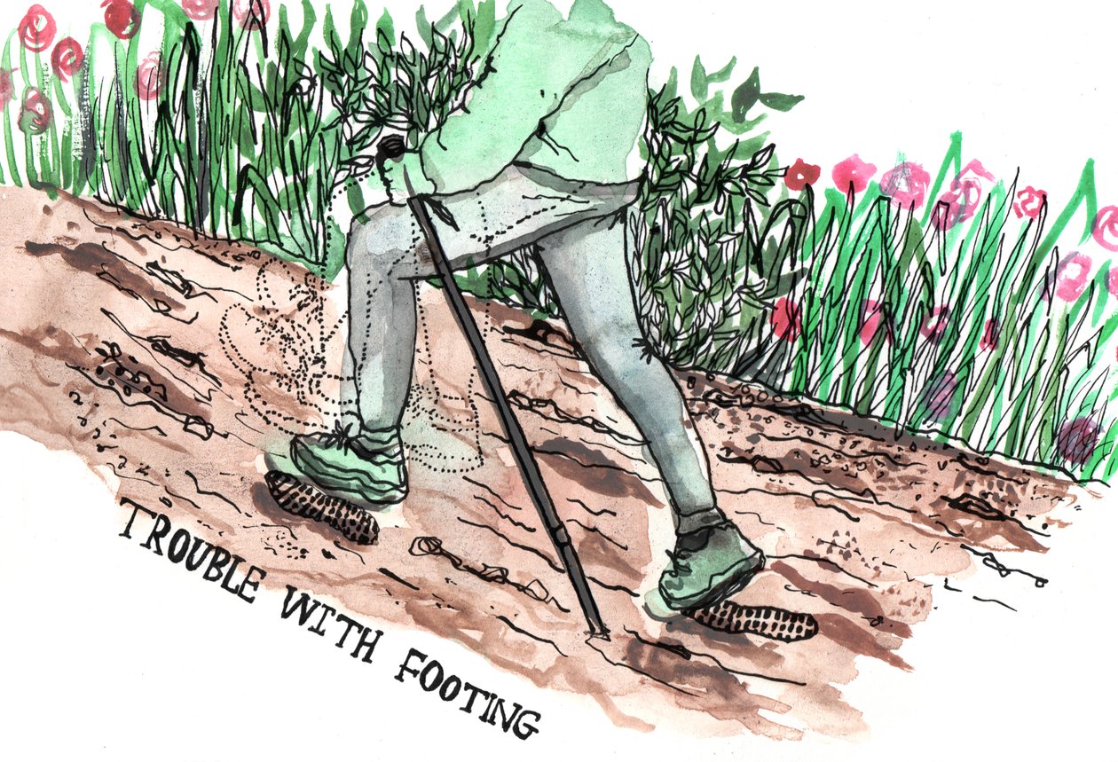 Illustrations de Parkinson, 2019 - Charlotte Orr