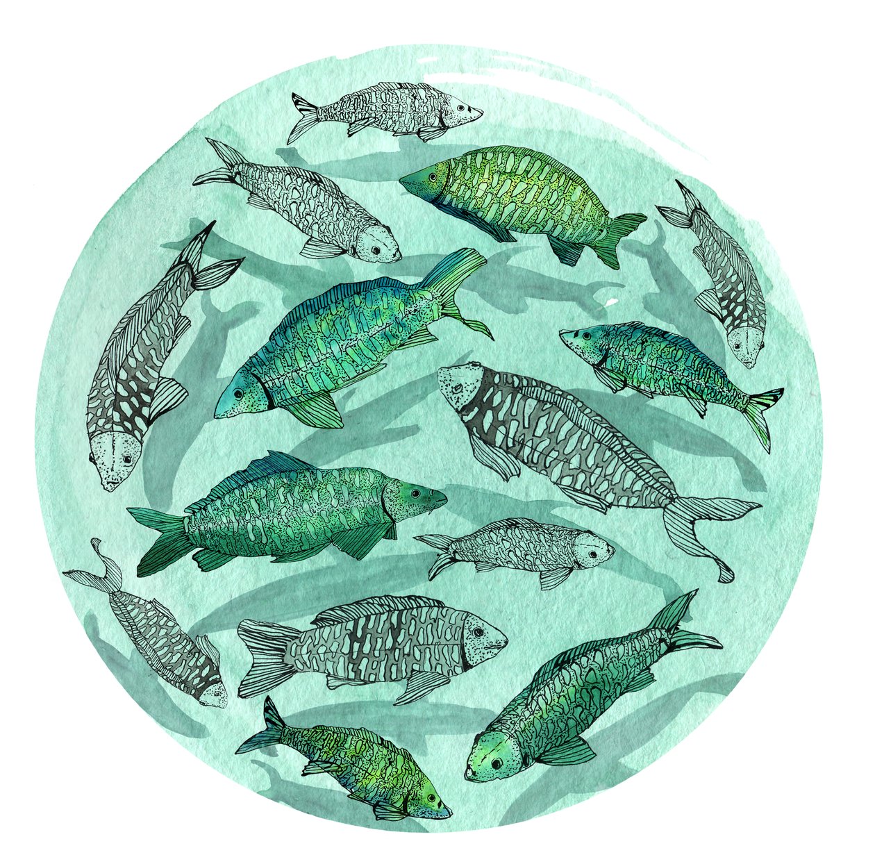 Petit poisson grand étang, 2018 - Charlotte Orr