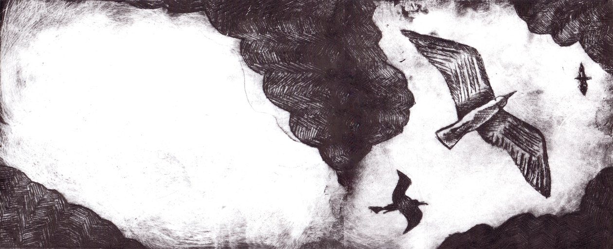 Le conte de la mouette, 2012 - Charlotte Orr