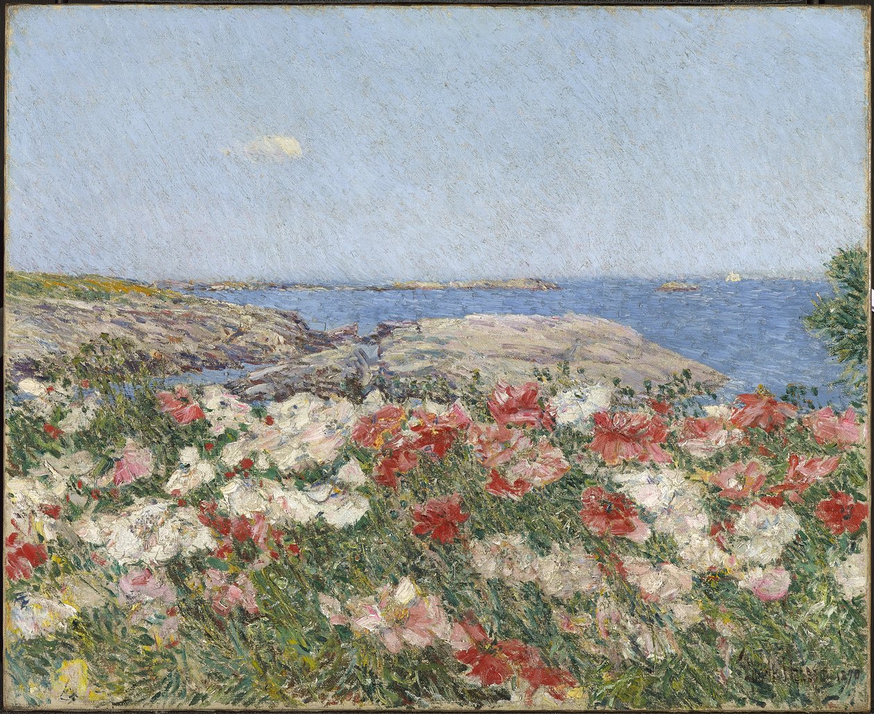 Coquelicots sur les îles de Shoals - Childe Frederick Hassam