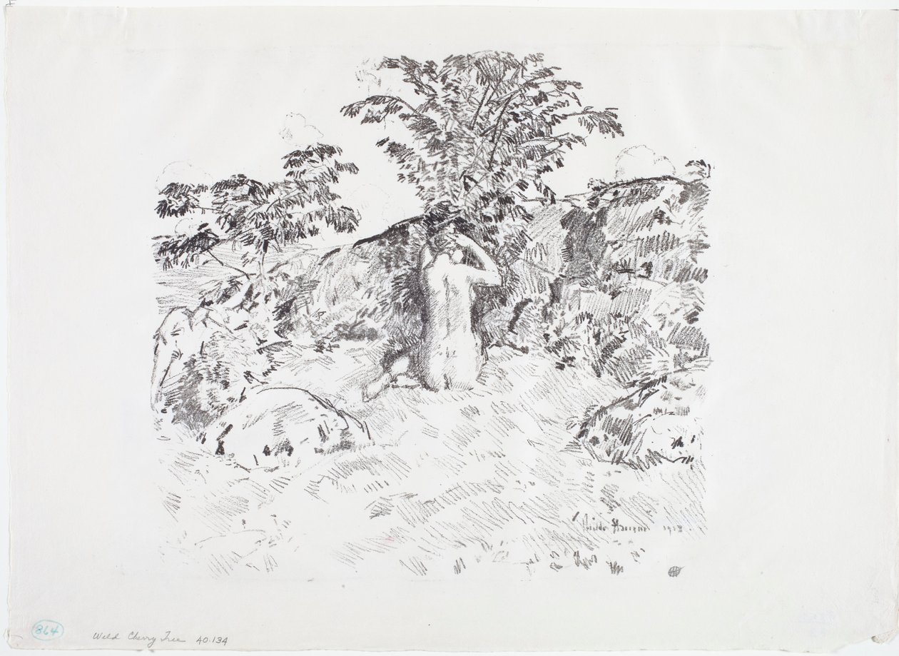 Cerisier sauvage - Childe Frederick Hassam