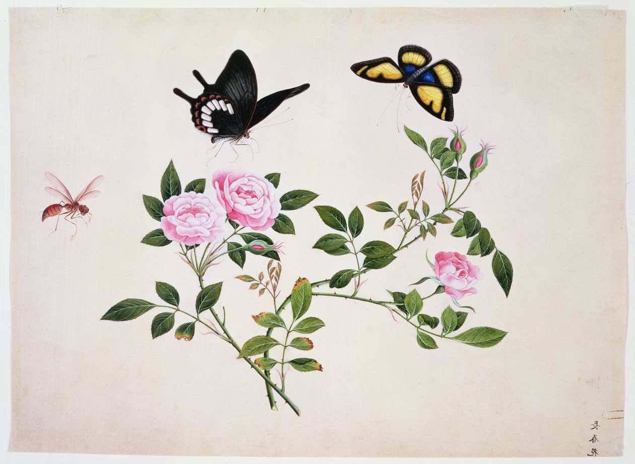 Roses en bouton et en fleur avec papillons et insectes - Chinese School