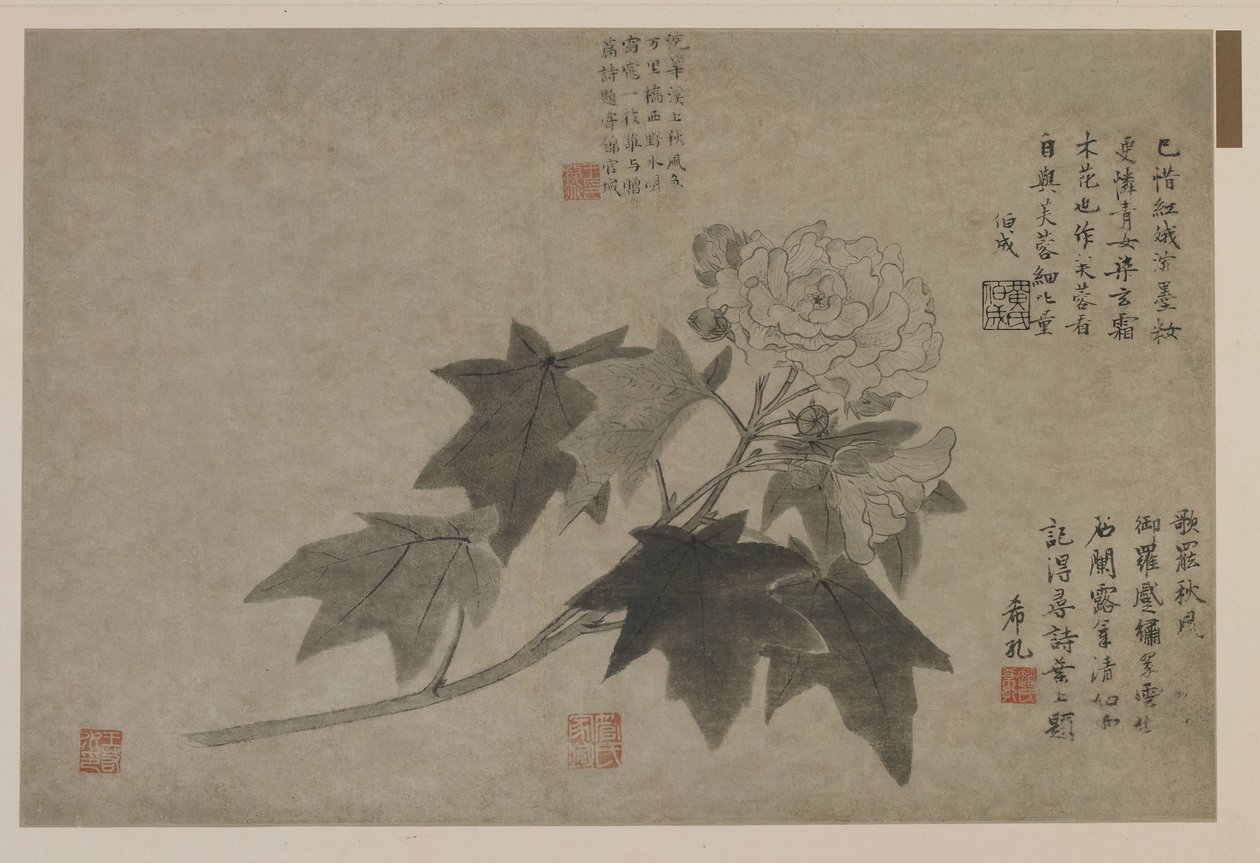 Branche de pivoine arbustive, possiblement dynastie Qing - Chinese School